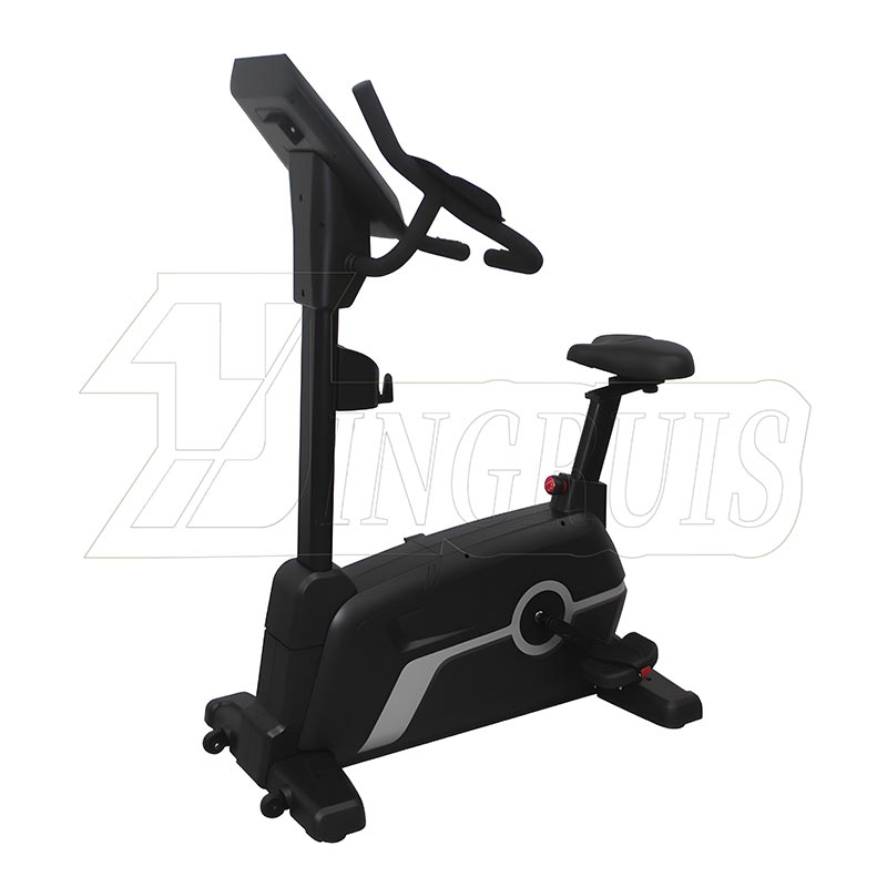 Commercial Upright Exercise Bike