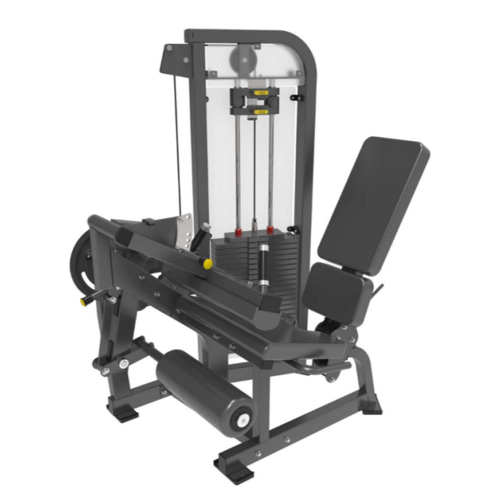 Beinstrecker, Beinbeuger