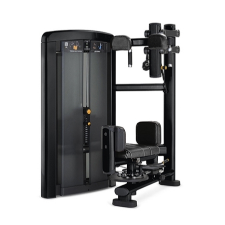 Rotations-Torso-Maschine