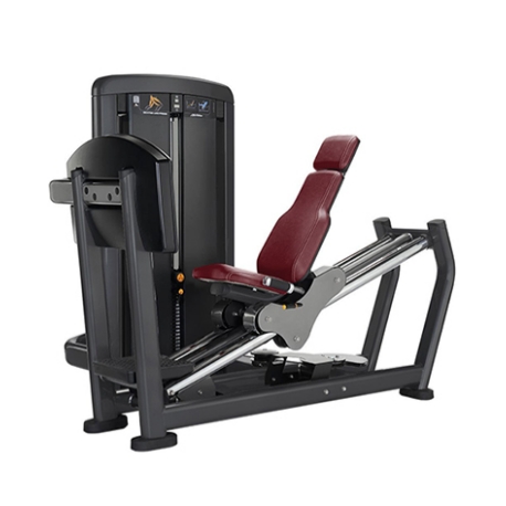 Sitzende Beinpresse