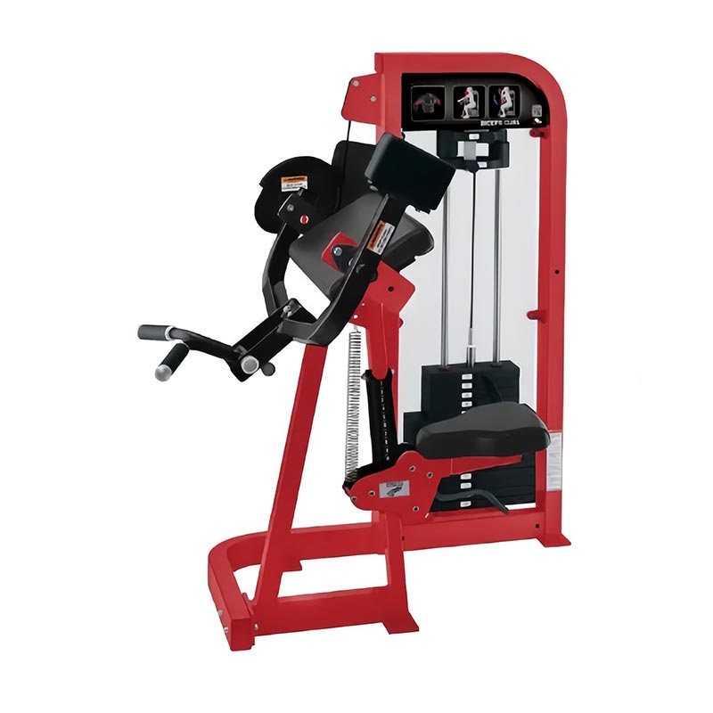 Wählen Sie Bizeps-Curl-Maschine